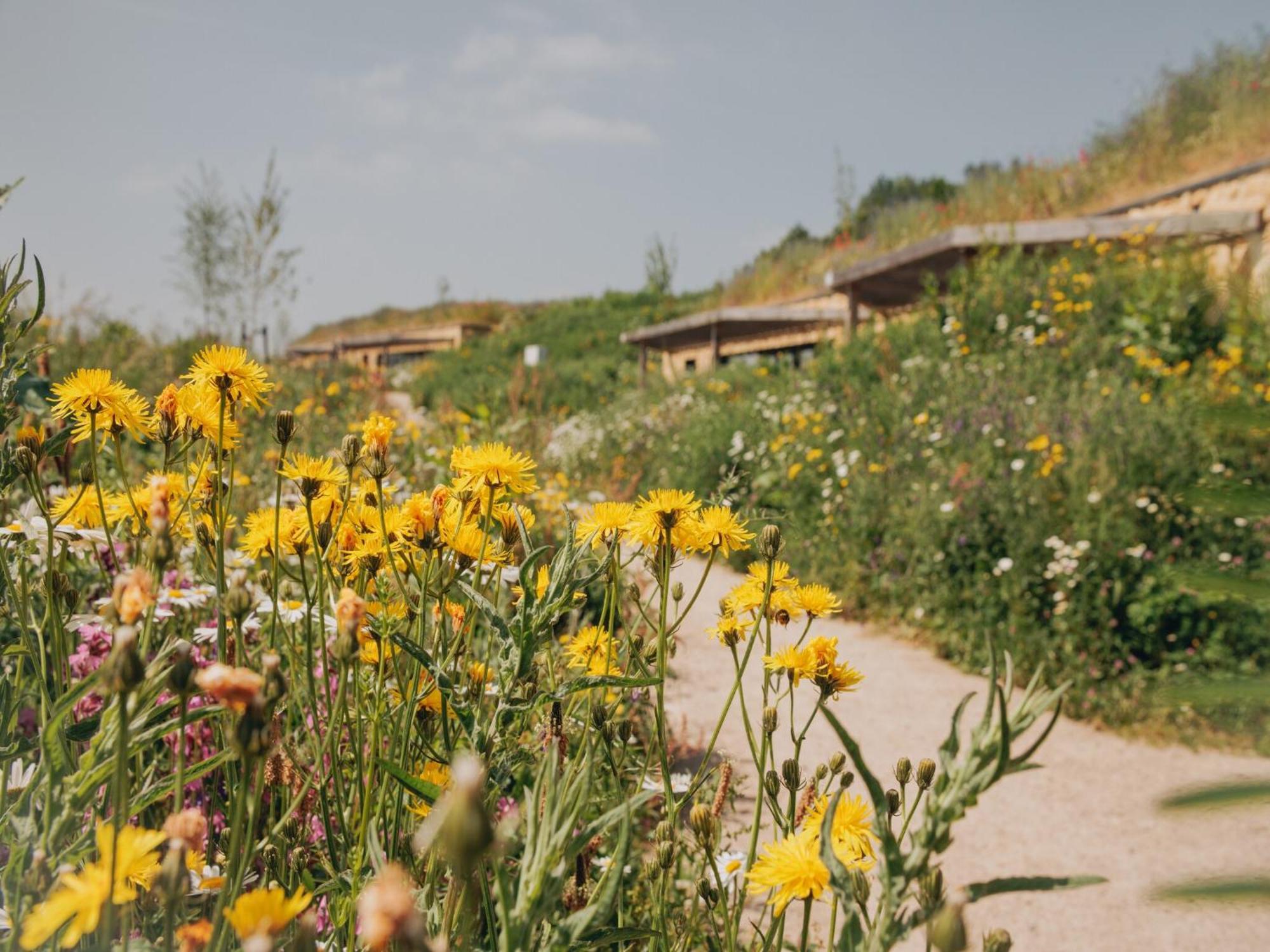 Luxury Hill Lodge In Gulpen Eksteriør bilde