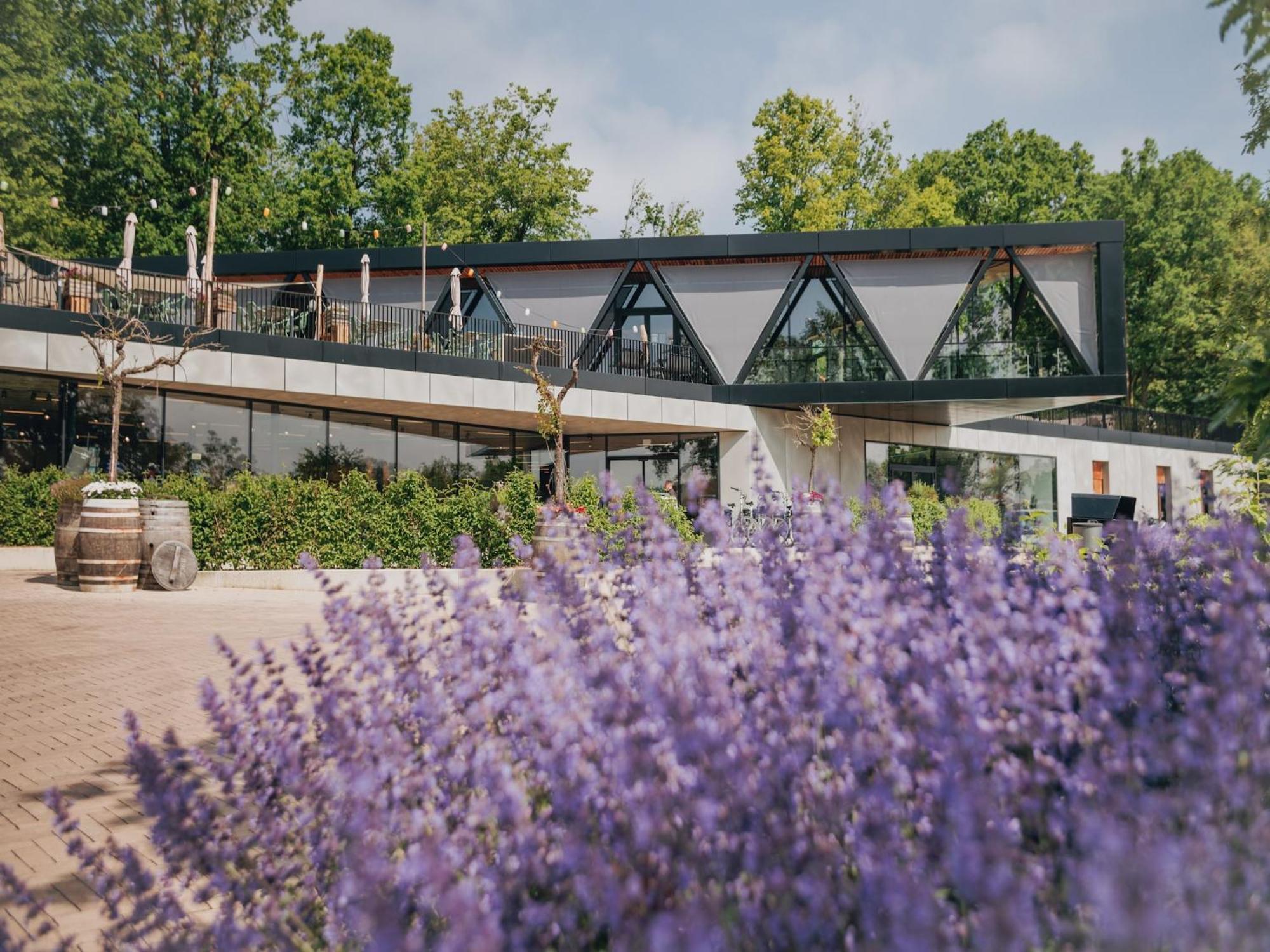 Luxury Hill Lodge In Gulpen Eksteriør bilde