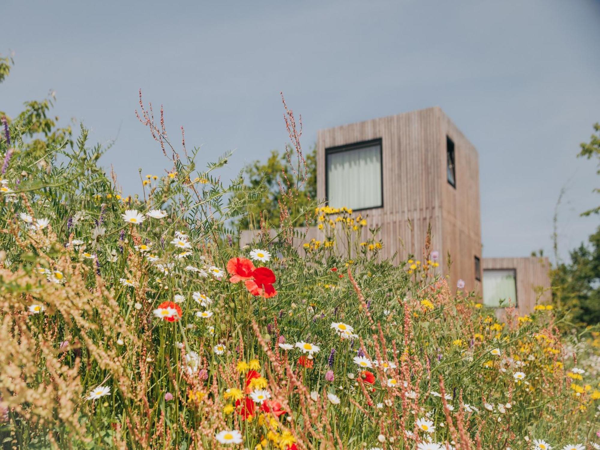 Luxury Hill Lodge In Gulpen Eksteriør bilde